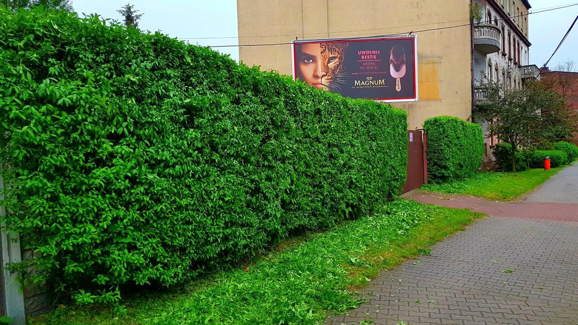 Apartament Park Slaski Katowice Kültér fotó