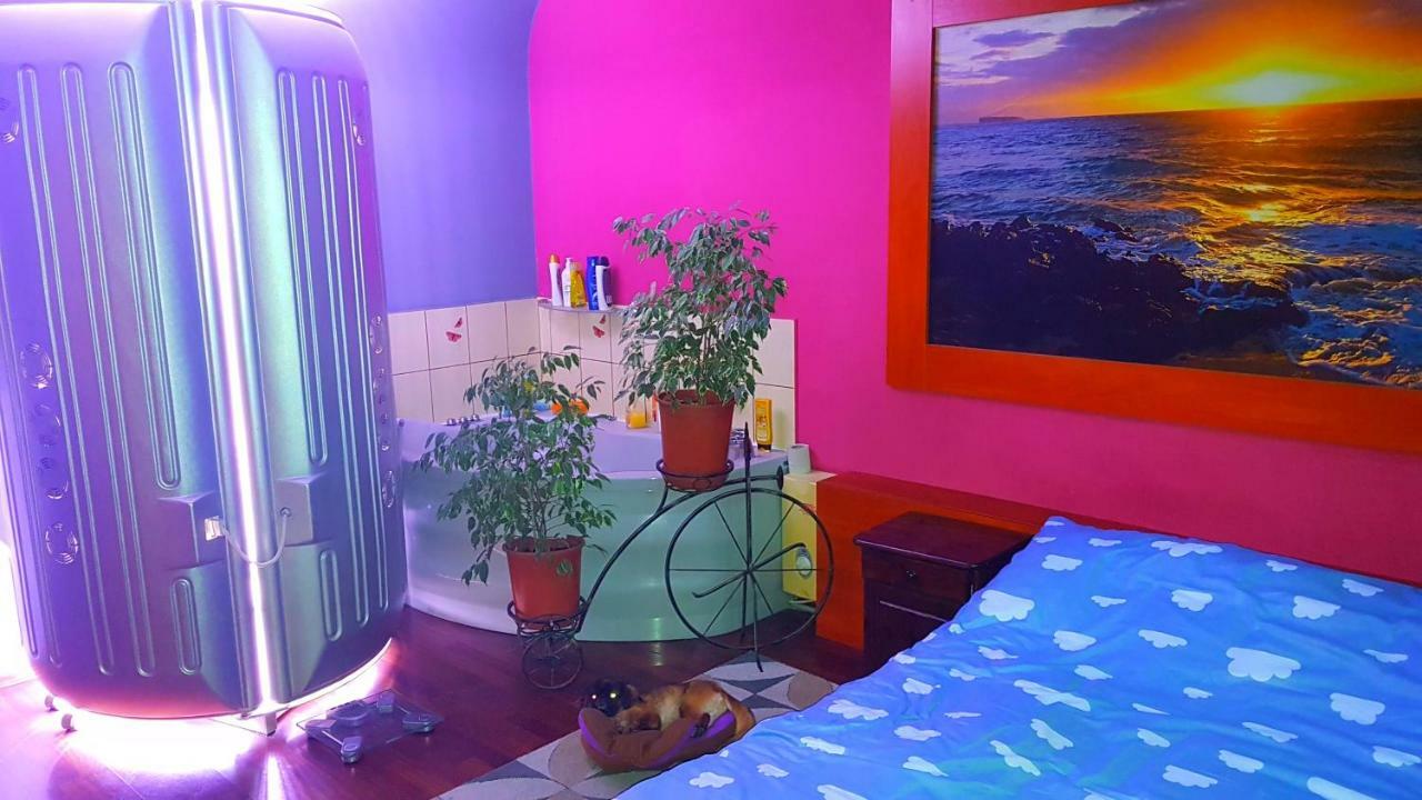 Apartament Park Slaski Katowice Kültér fotó